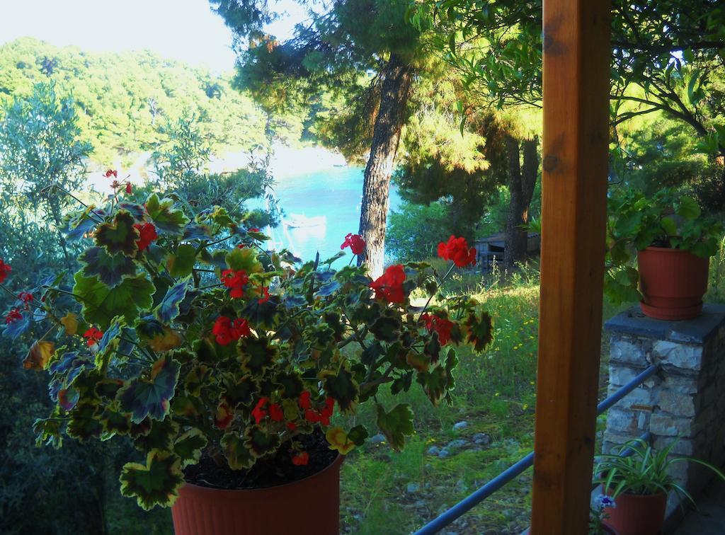 Magdalini Otel Votsi  Dış mekan fotoğraf